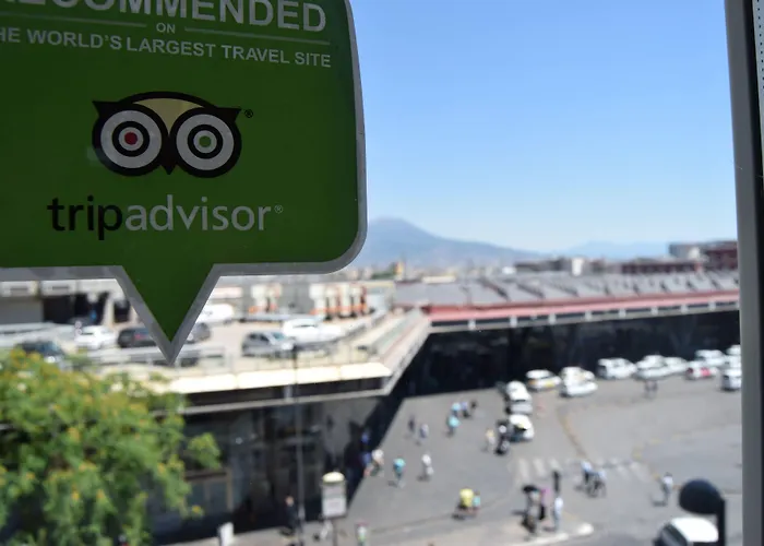 Bed and breakfast Metropolitan